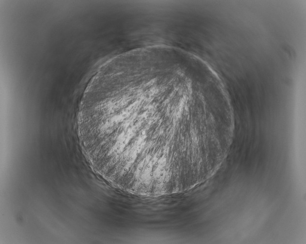 X0000111231207200908131116
