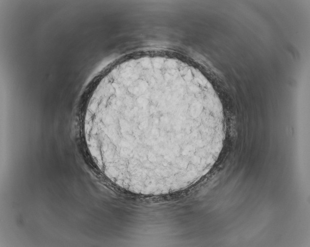 X0000111231208200908131116