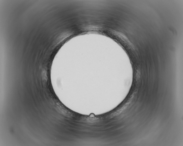 X0000111231209200908131116