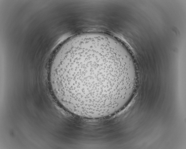 X0000111231211200908131116