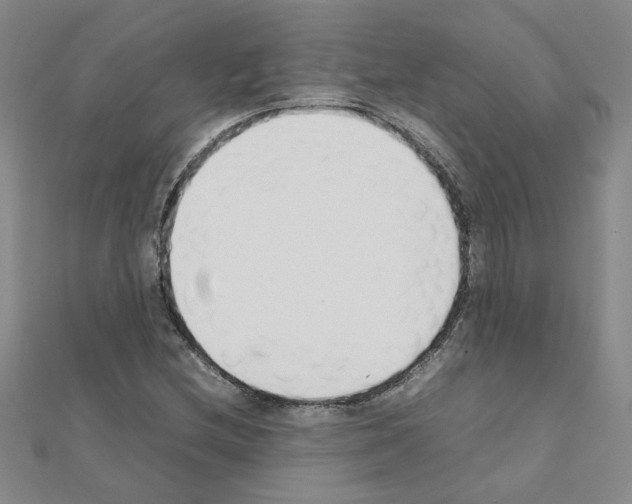 X0000111231212200908131116