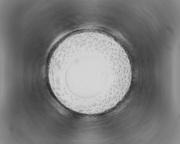 X0000111231216200908131116