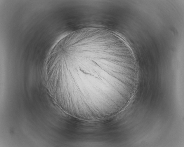 X0000111231219200908131116