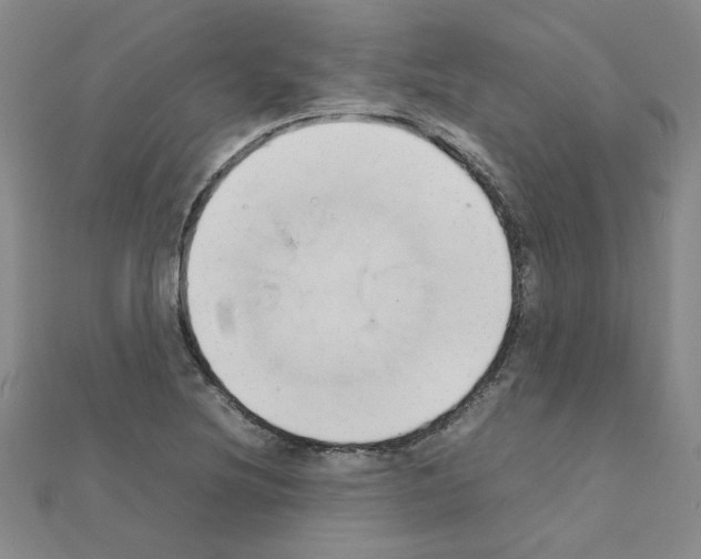 X0000111231220200908131116