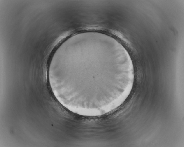 X0000111231221200908131116