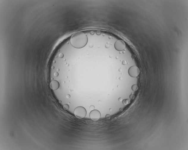 X0000111231222200908131116