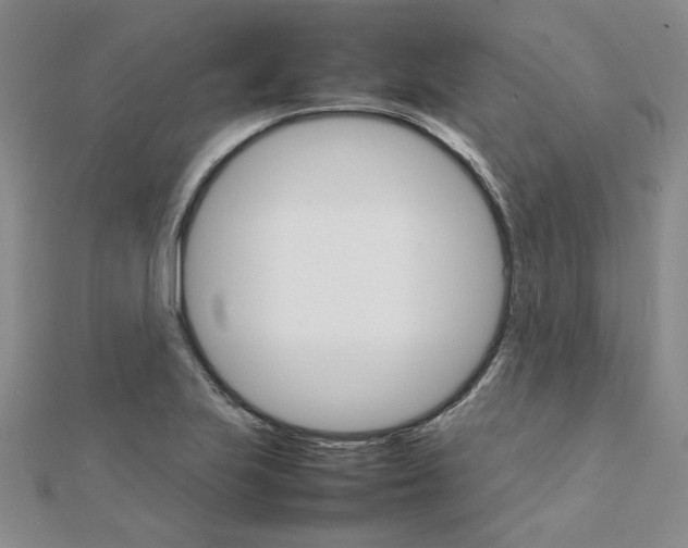 X0000111231223200908131116