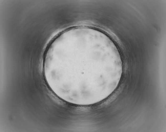 X0000111231224200908131116