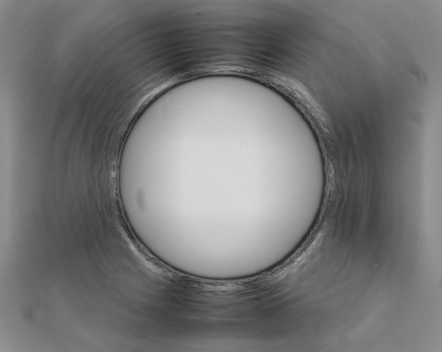 X0000111231225200908131116