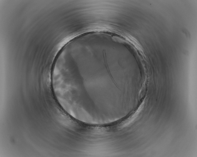 X0000111231226200908131116