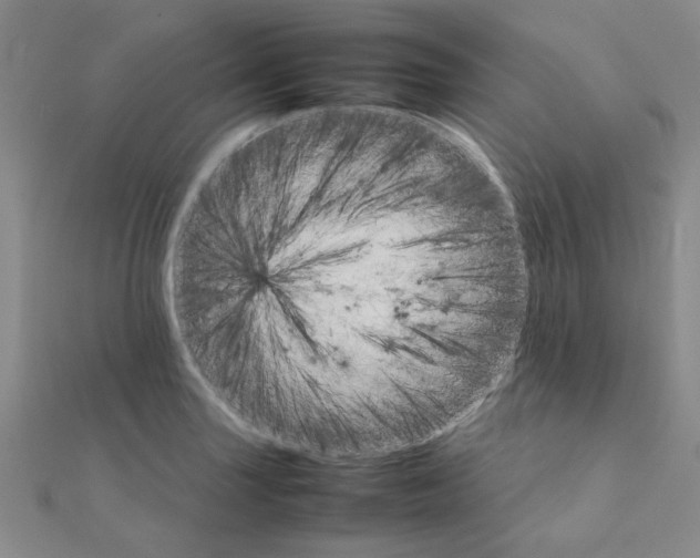 X0000111231227200908131116