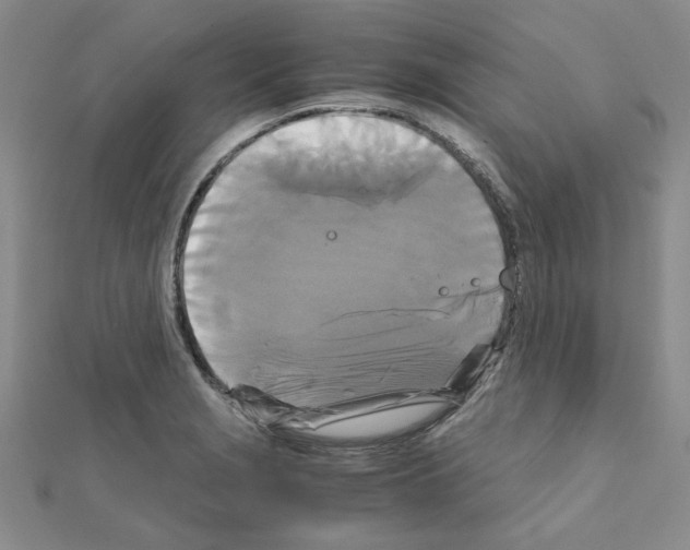 X0000111231229200908131116