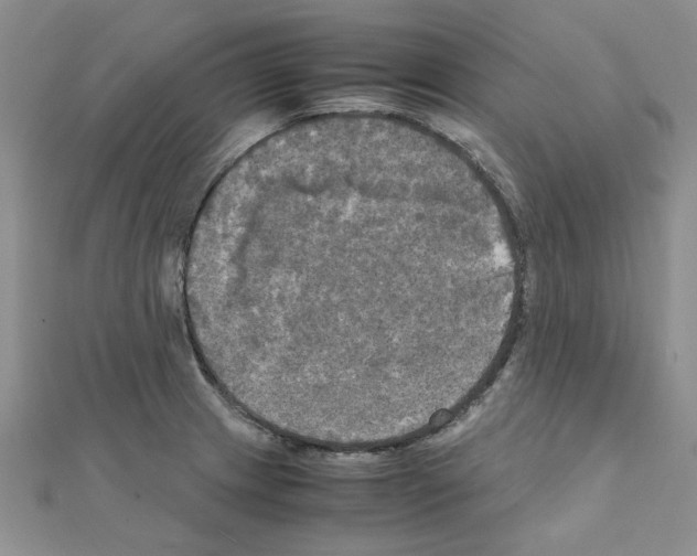 X0000111231233200908131116