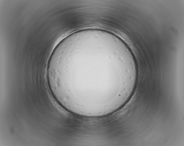 X0000111231234200908131116
