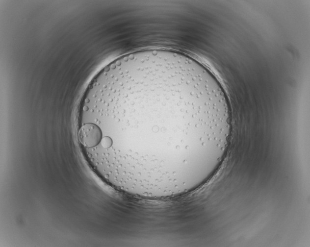 X0000111231235200908131116