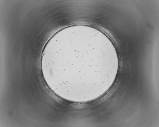 X0000111231236200908131116
