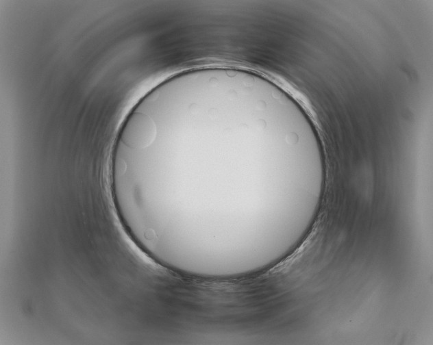 X0000111231239200908131116