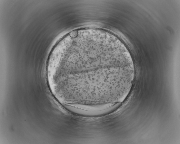 X0000111231240200908131116