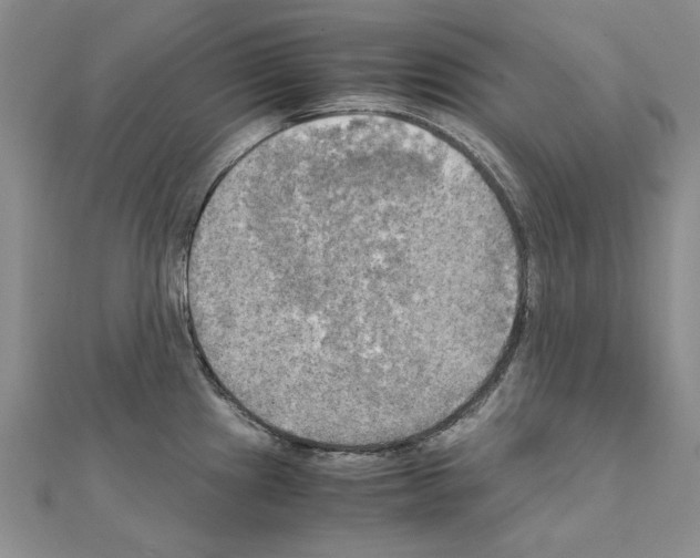 X0000111231241200908131116