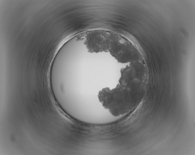 X0000111231242200908131116