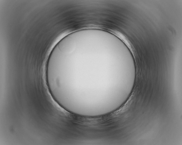 X0000111231243200908131116
