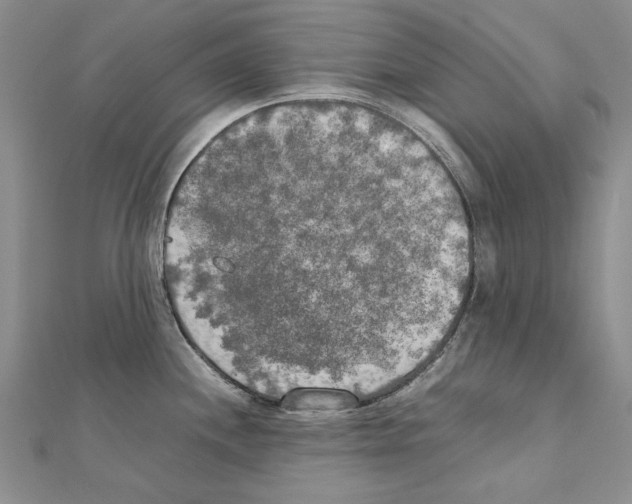 X0000111231244200908131116