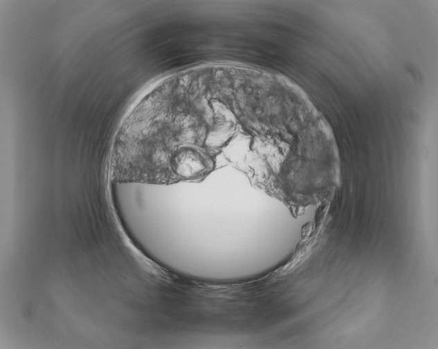 X0000111231245200908131116