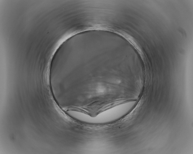X0000111231246200908131116