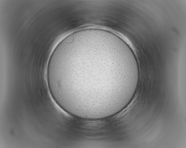 X0000111231247200908131116