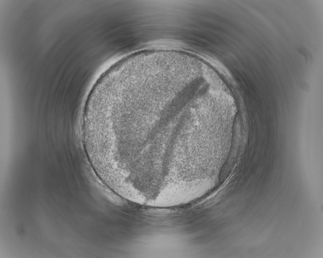 X0000111231248200908131116