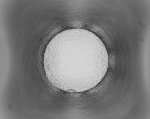 X0000111231249200908131115
