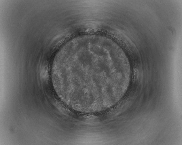 X0000111231250200908131115