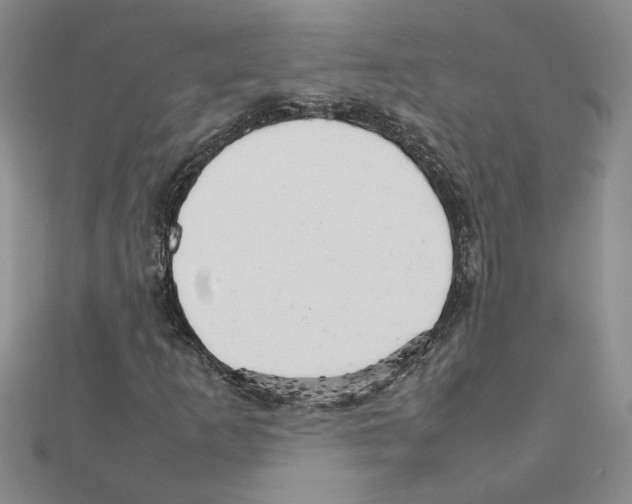 X0000111231253200908131115