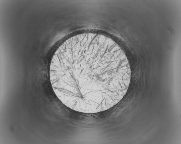 X0000111231255200908131115