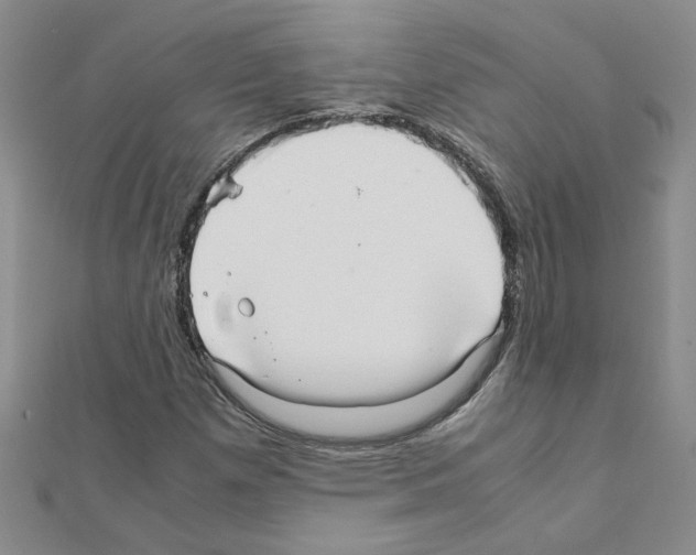 X0000111231257200908131115