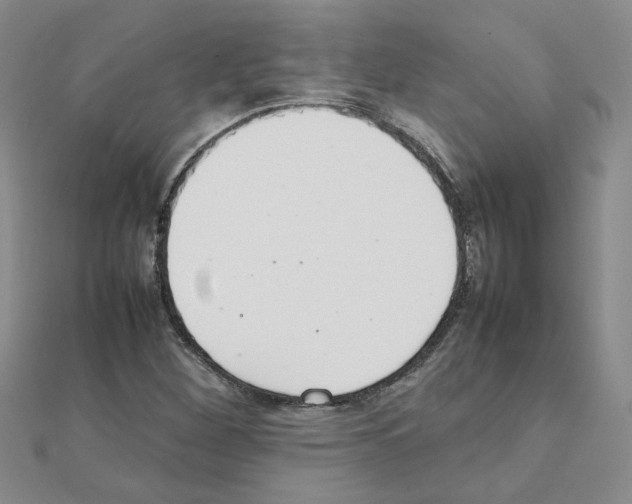 X0000111231260200908131115