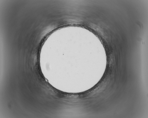 X0000111231261200908131115