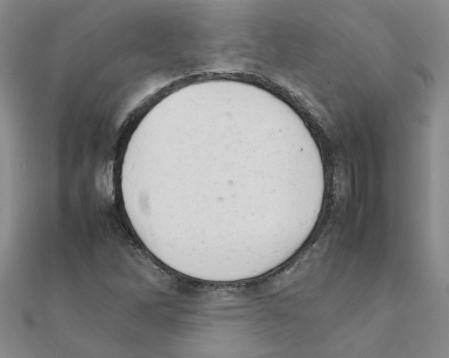 X0000111231262200908131115