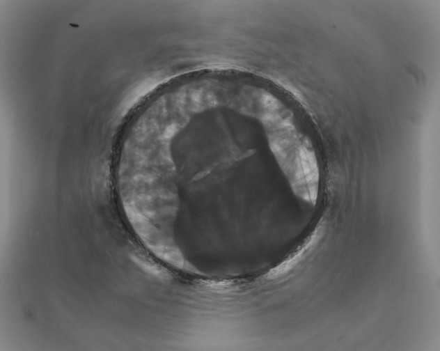 X0000111231263200908131115