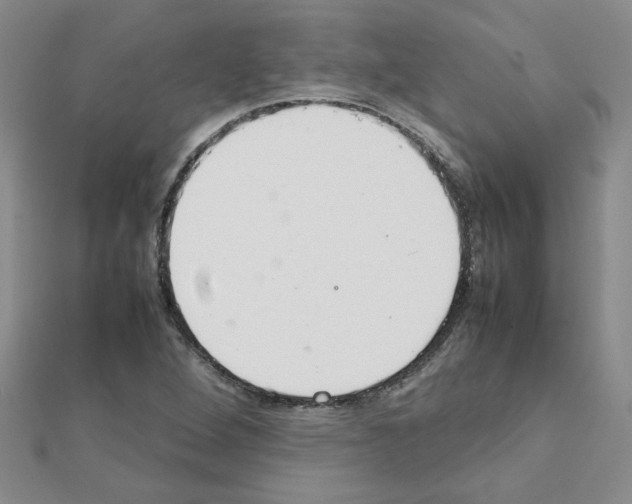X0000111231264200908131115