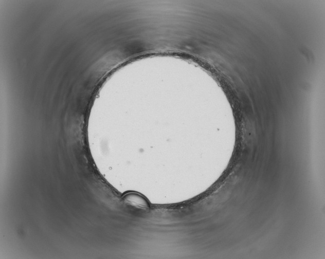 X0000111231265200908131115