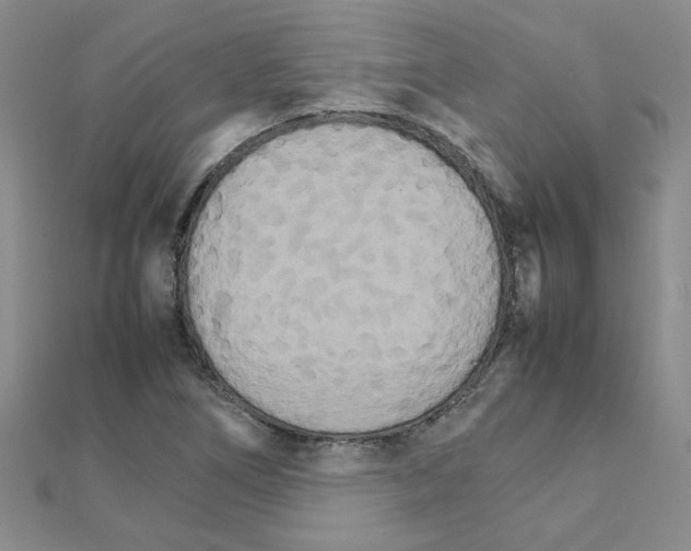 X0000111231266200908131115