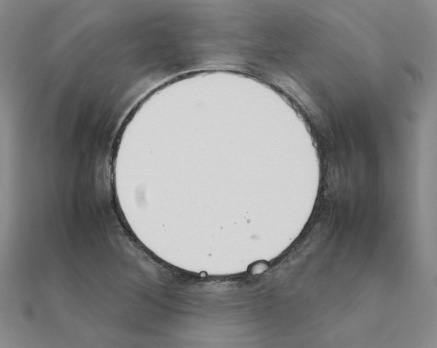 X0000111231268200908131115