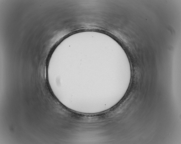 X0000111231269200908131115
