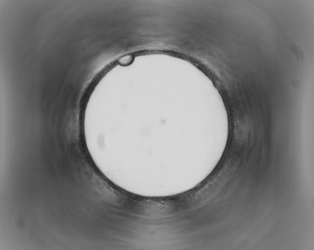 X0000111231270200908131115