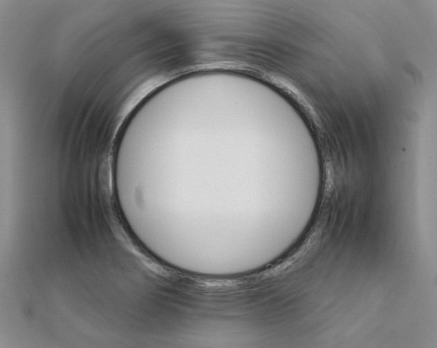 X0000111231274200908131115
