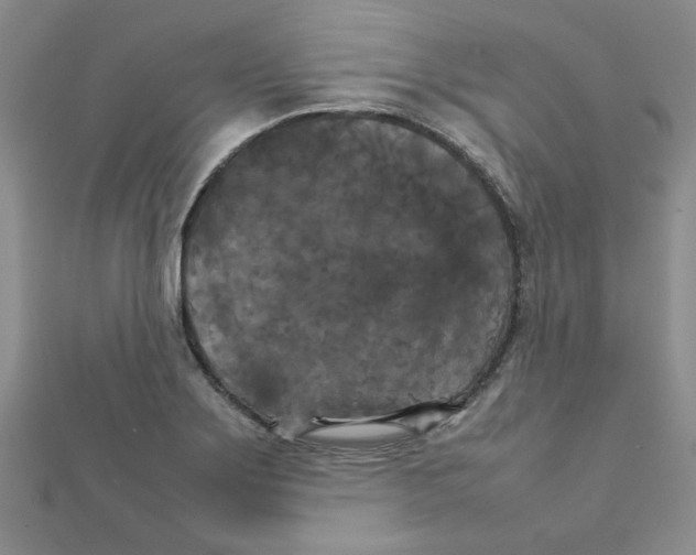 X0000111231275200908131115