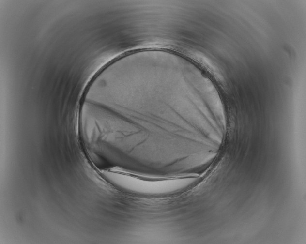 X0000111231276200908131115