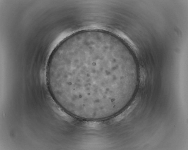 X0000111231278200908131115