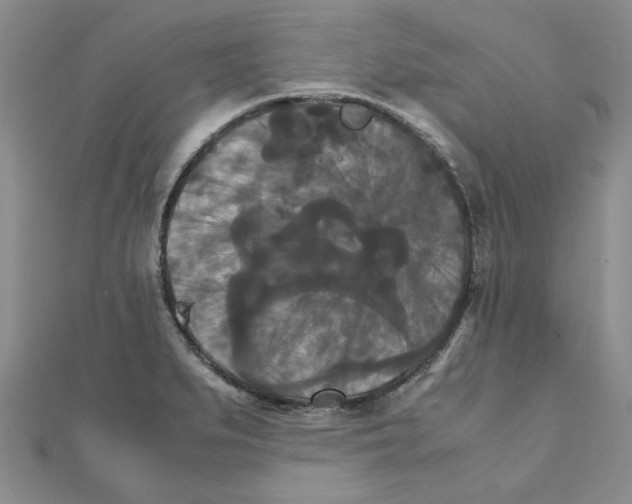 X0000111231279200908131115